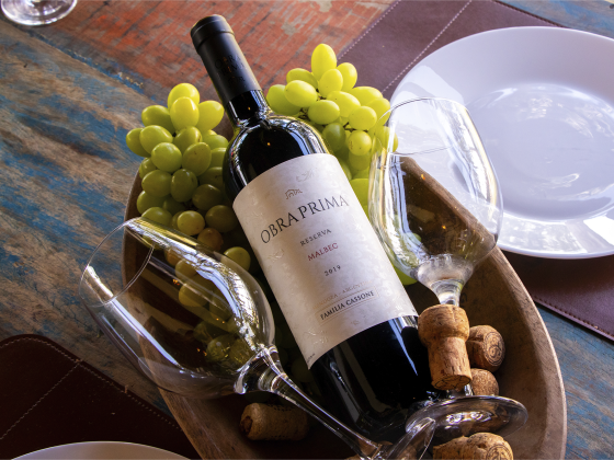 Vinhos em pousada Villa Verde